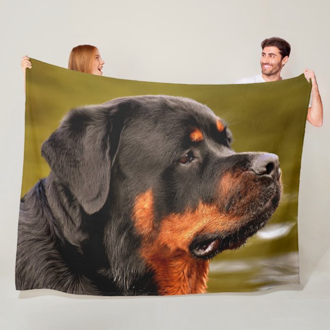 MANTA POLAR ROTWEILLER (In situ)