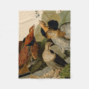 Manta Polar Ruffed Grouse Audubon Game Bird
