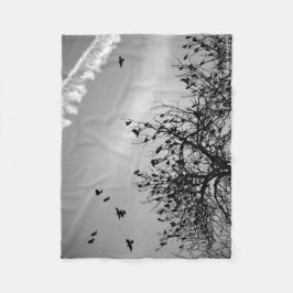 Manta Polar Ruta de vuelo