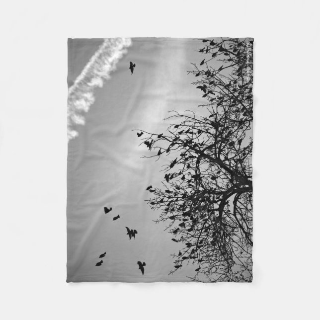 Manta Polar Ruta de vuelo (Anverso)