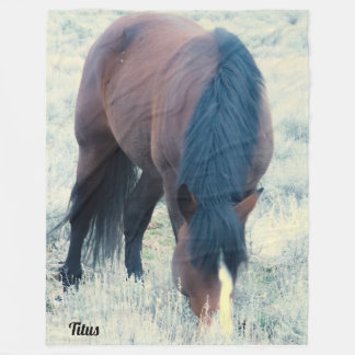 Manta Polar S Steens Titus