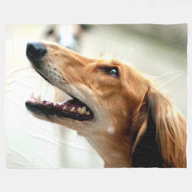 MANTA POLAR SALUKI (Frente (Horizontal))