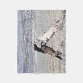 Manta Polar Sancho y Casper