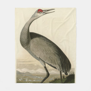 Manta Polar Sandhill Crane de los pájaros de América de Audubo