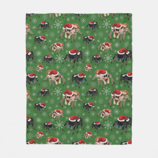 Manta Polar Santa Regal Jumping Spider Phidippus Regius verde