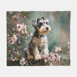 Manta Polar Schnauzer Puppy Among Spring Cherry Blossoms