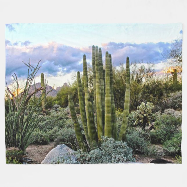 Manta Polar Scottsdale Succulent Sunset (Frente (Horizontal))