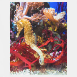 Manta Polar Seahorse Fantasy