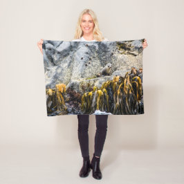 Manta Polar Sello De Piel Joven En La Roca