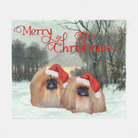 Señor y Señora Santa Claus