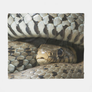 Manta Polar Serpiente