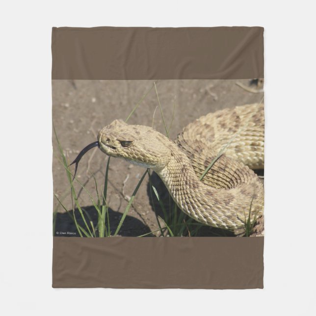 Manta Polar Serpiente de cascabel de la pradera R6 (Anverso)