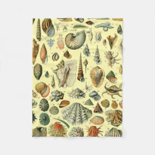 Manta Polar Shell de conchas marinas Mollusk Clam Elegante Art