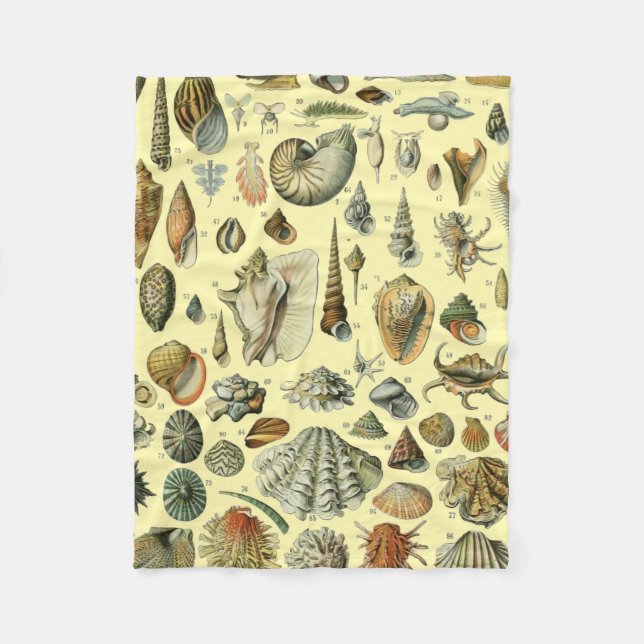 Manta Polar Shell de conchas marinas Mollusk Clam Elegante Art (Anverso)
