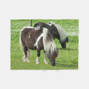 Manta Polar Shetland Paint Ponies de raza pura