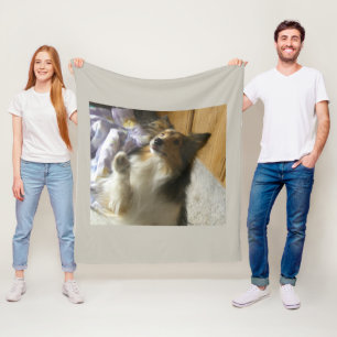 Manta Polar Shetland Sheepdog Pidiendo