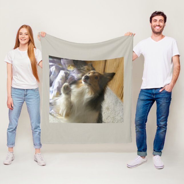 Manta Polar Shetland Sheepdog Pidiendo (In situ)