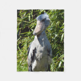 Manta Polar Shoebill (Balaeniceps rex)