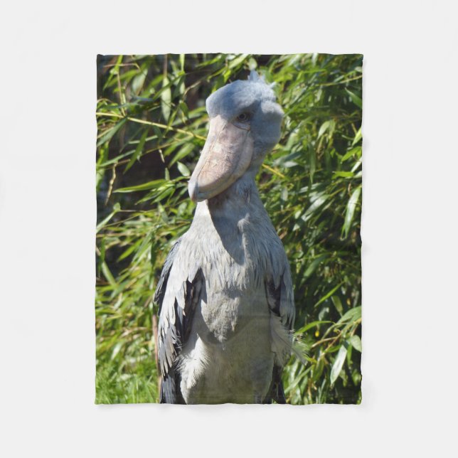 Manta Polar Shoebill (Balaeniceps rex) (Anverso)