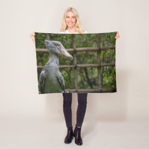 Manta Polar Shoebill (Balaeniceps rex)