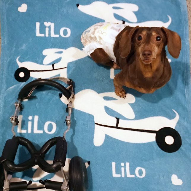 Manta Polar Silla de ruedas Dachshund IVDD para Doxies de Rued (Wheelie dachshund gift - cozy personalized wheelchair cart blanket)