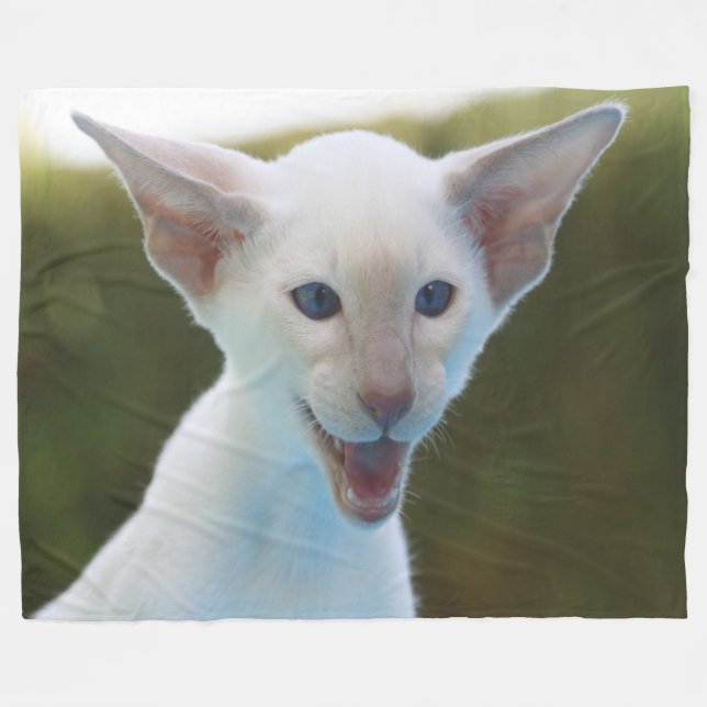 Manta Polar Silly Siamese (Frente (Horizontal))
