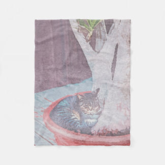 Manta Polar sleeping outdoor cat digital art watercolour