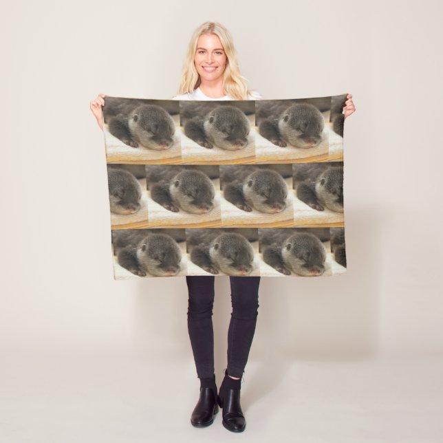 Manta Polar Sleepy Otters (In situ)