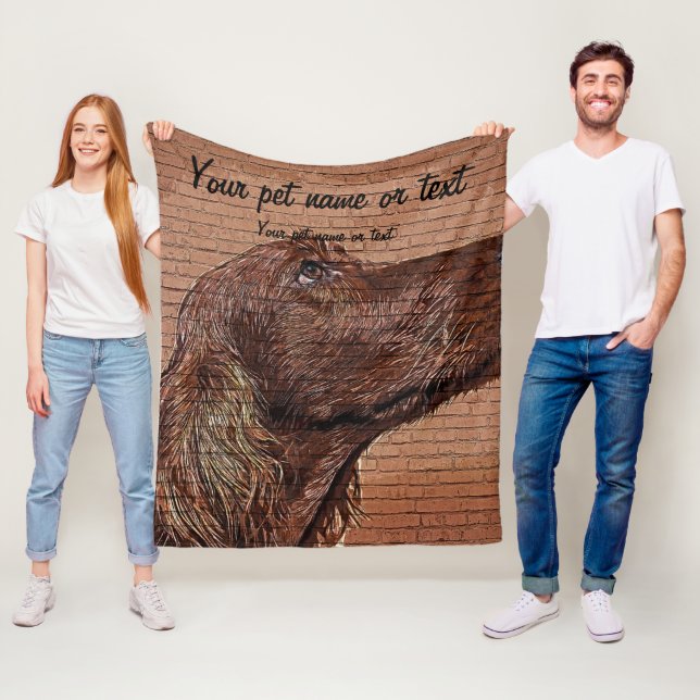 Manta Polar So cool and beautiful, Irish Setter Dog (In situ)