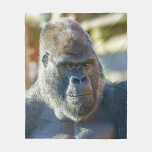 Manta Polar Sorprendente Silverback