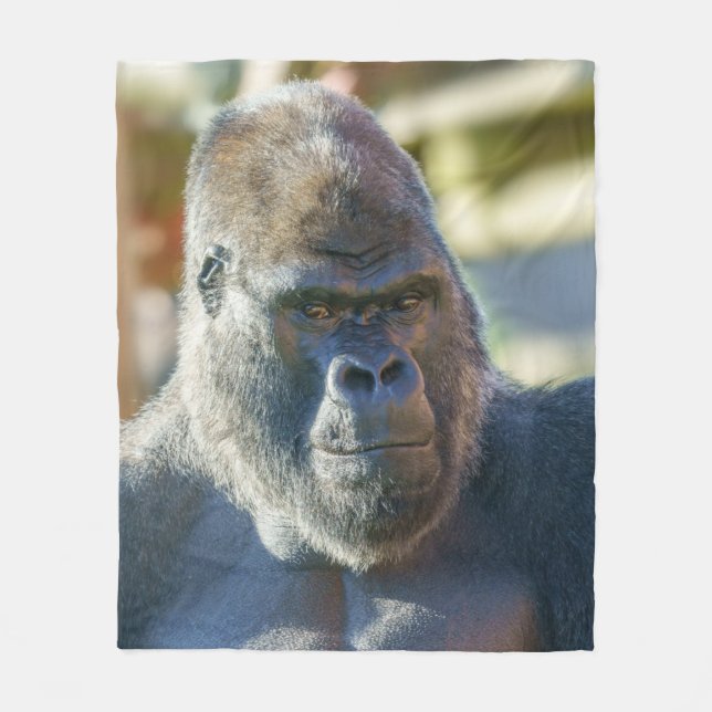 Manta Polar Sorprendente Silverback (Anverso)