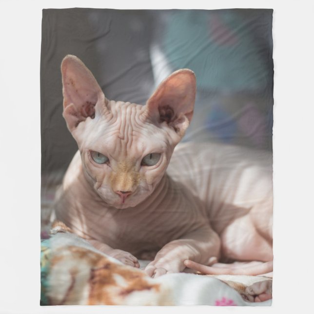 MANTA POLAR SPHINX CAT (Anverso)