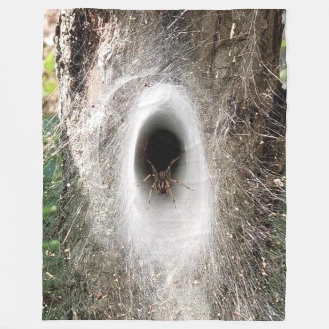 MANTA POLAR SPIDER (Anverso)