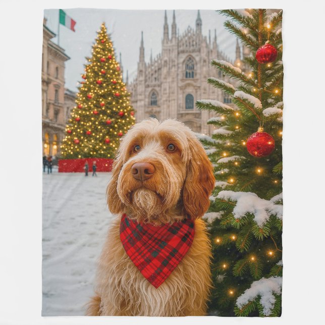 Manta Polar Spinone Italiano  (Anverso)