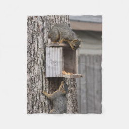 Manta Polar Squirrel