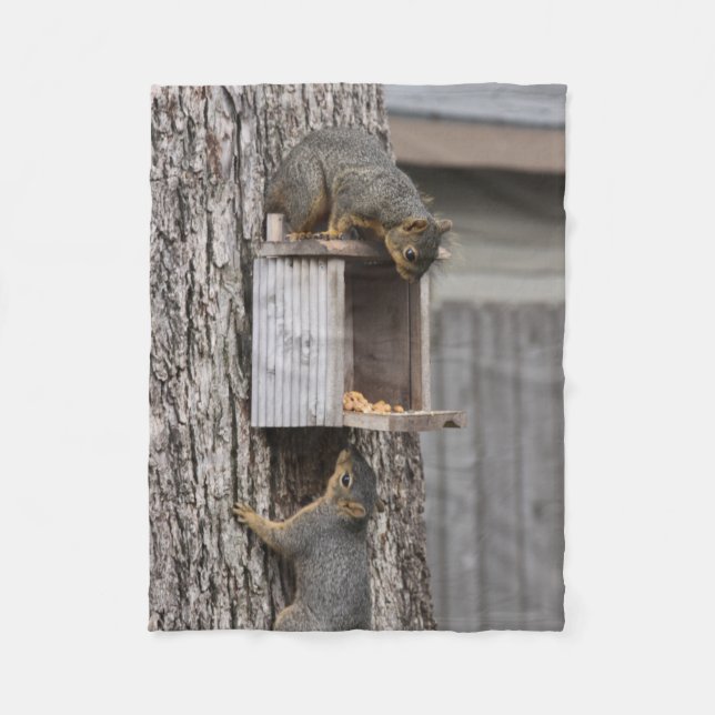 Manta Polar Squirrel (Anverso)