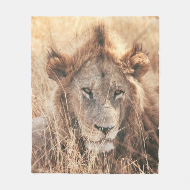 MANTA POLAR SR. LION KING (Anverso)