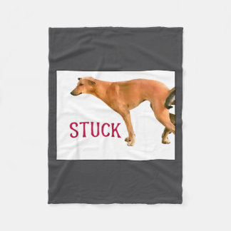 Manta Polar Stuck Together Dogs Funny Couple Saying Quote Dog 