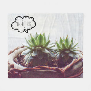 Manta Polar Suculento Aeonium Dream Big