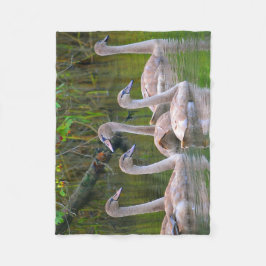 Manta Polar Swan único