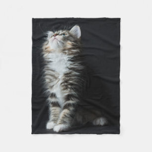 Manta Polar Tabby alto