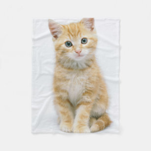 Manta Polar Tabby del naranja dulce