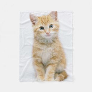 Manta Polar Tabby del naranja dulce