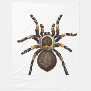 Manta Polar Tarantula