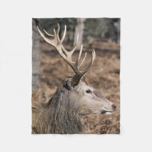 Manta Polar The King's Deer of Richmond Park, Londres, Reino U