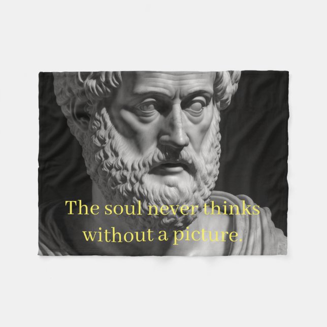 Manta Polar The Soul never thinks without a Picture (Frente (Horizontal))