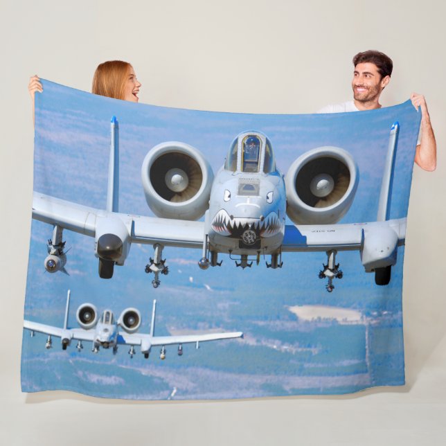 MANTA POLAR THUNDERBOLT II A-10C (In situ)