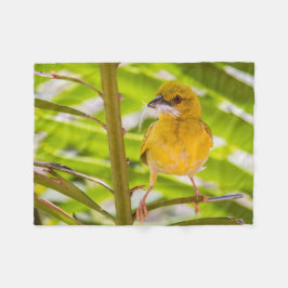 Manta Polar Tiempo de construir el nido