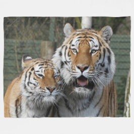 Manta Polar Tiger_2015_0401