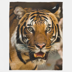 MANTA POLAR TIGRE